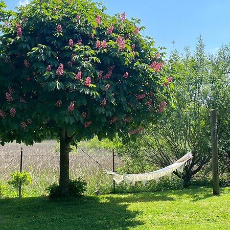 Idylisches Cottage Mit Reh Worthsee Buitenkant foto