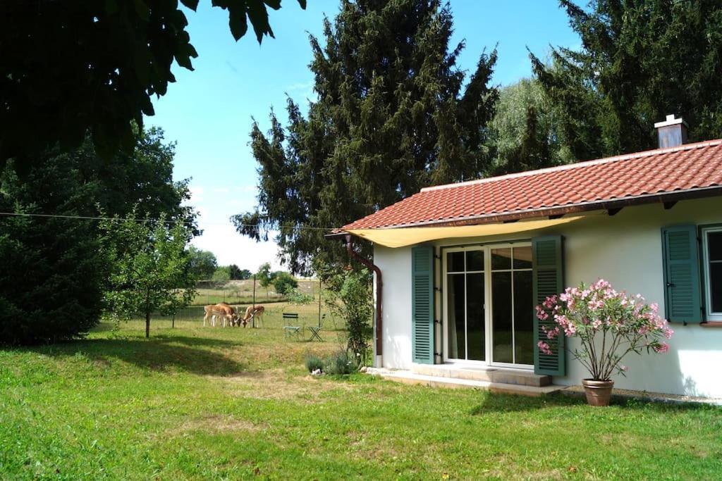 Idylisches Cottage Mit Reh Worthsee Buitenkant foto