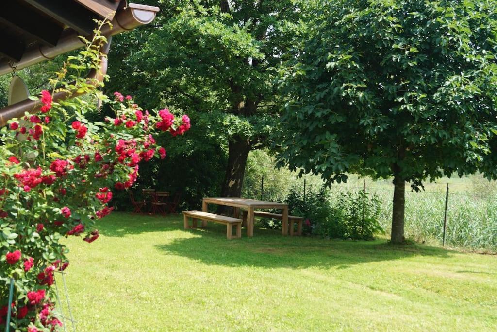 Idylisches Cottage Mit Reh Worthsee Buitenkant foto